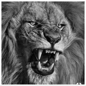 Meet your Posher, Jo